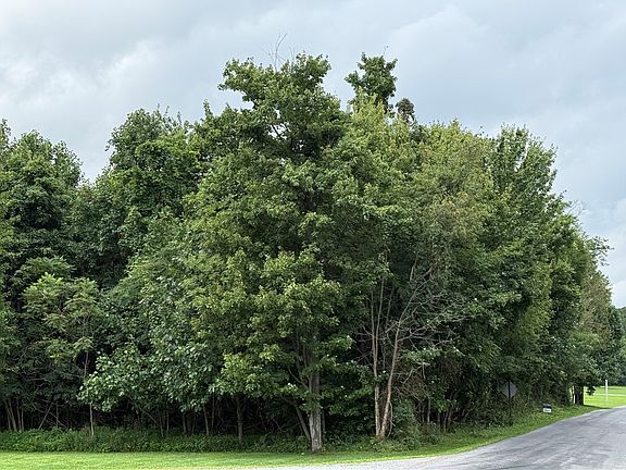 3rd image of 0 Shellbark Rd