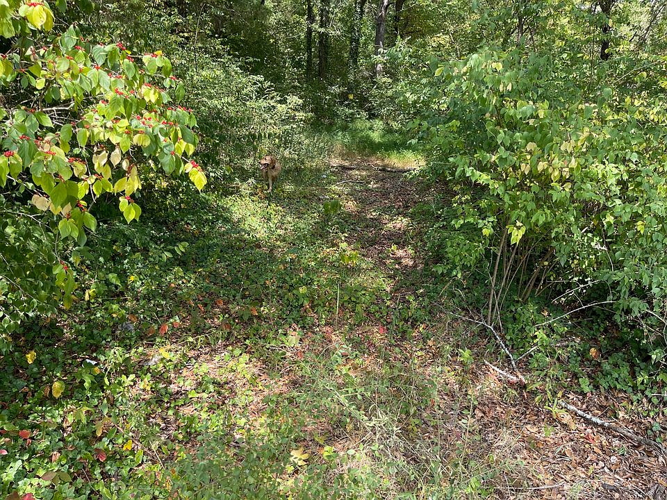 2nd image of 335 Pleasant Grove Rd