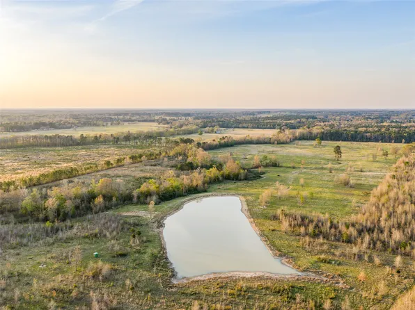 Fm 990, Simms, TX 75574