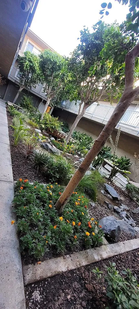 2 bed, 1200 sqft, $2,850 — Photo 4