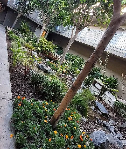 courtyard