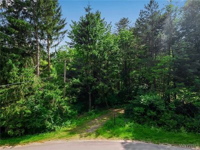 11665 Carpenter Rd, South Wales, NY, 14139