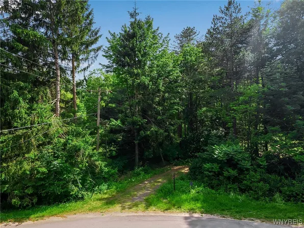 11665 Carpenter Rd, South Wales, NY 14139