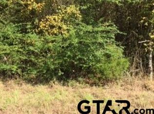 0 Vz County Road 4906, Ben Wheeler, TX 75754