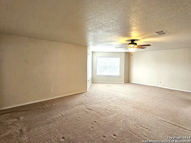 208 Springtree Cv — Photo 19