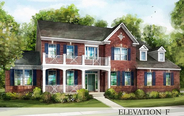 ElevationImage