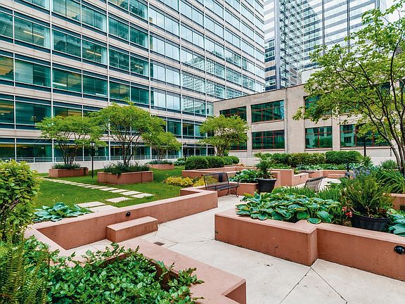 Building rooftop garden