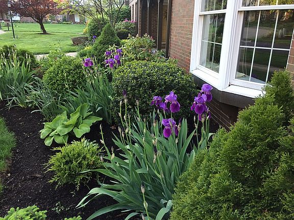 Front Garden