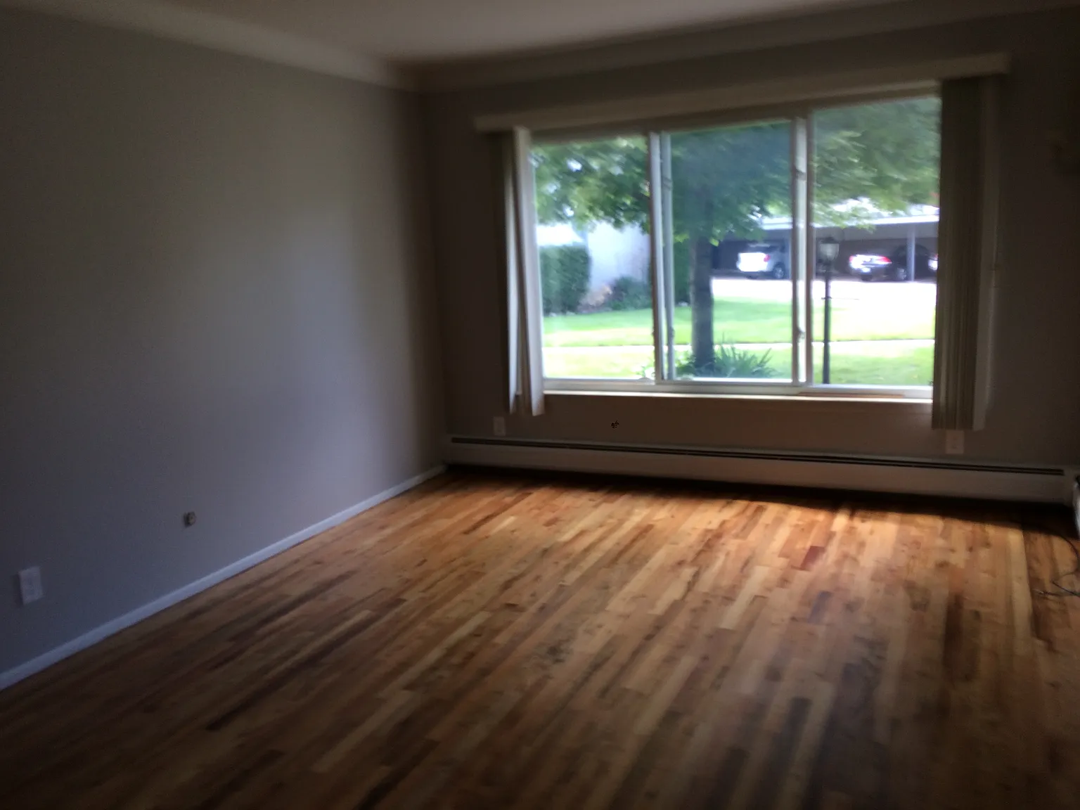 1 bed, 646 sqft, $1,000 — Photo 4