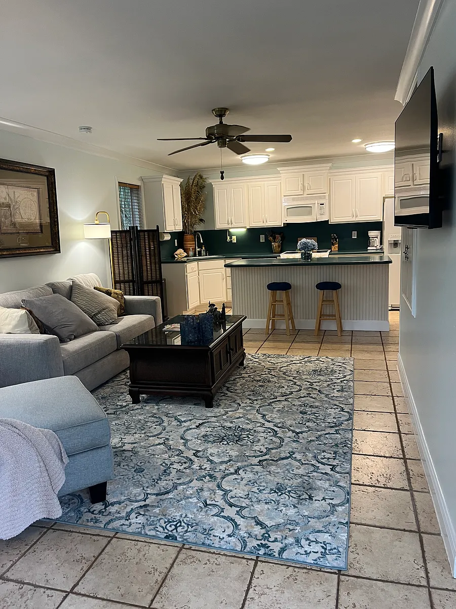 Living Room with 50 inch TV - 103 Meigs Dr