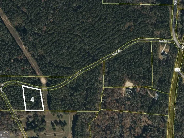 4 Todd Five, Senoia, GA 30276