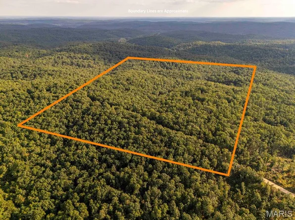 0 County Road 448, Redford, MO 63665