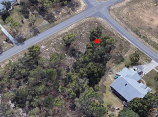 5159 Fenian Dr, Spring Hill, FL 34609