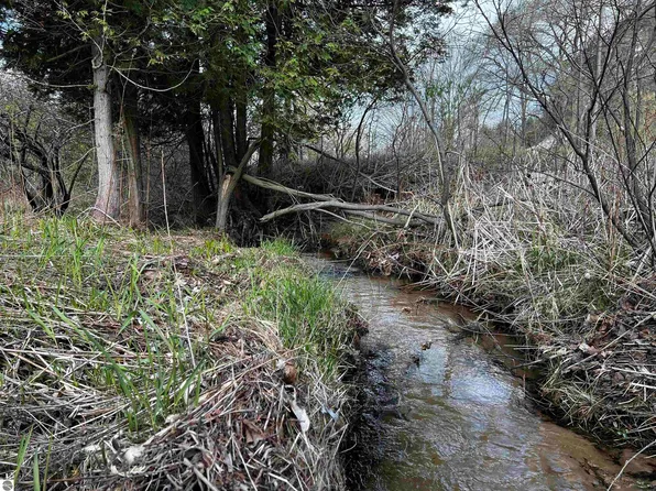 0 Goose Rd, Honor, MI 49640