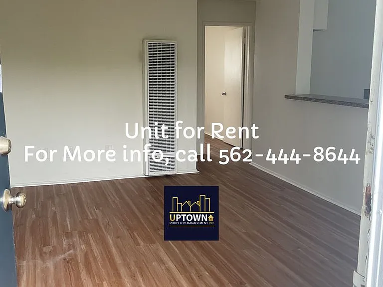 Juno — Photo 7