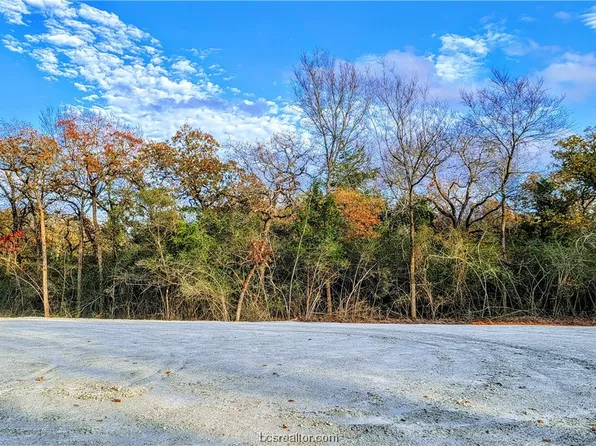 13 Berkshire Dr, Franklin, TX 77856