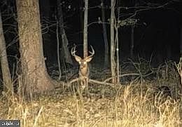 1st image of Patuxent Riv