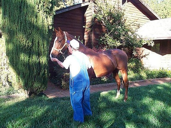 Lawn and Side Of House