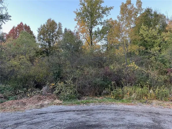 Taylor Ave, Girard, OH 44420