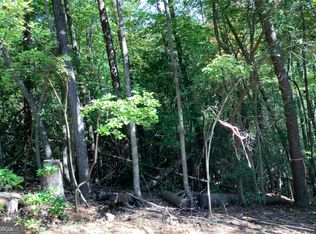 0.68 Valley View Rd, Ellijay, GA 30536