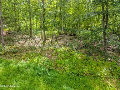 Property photo 42
