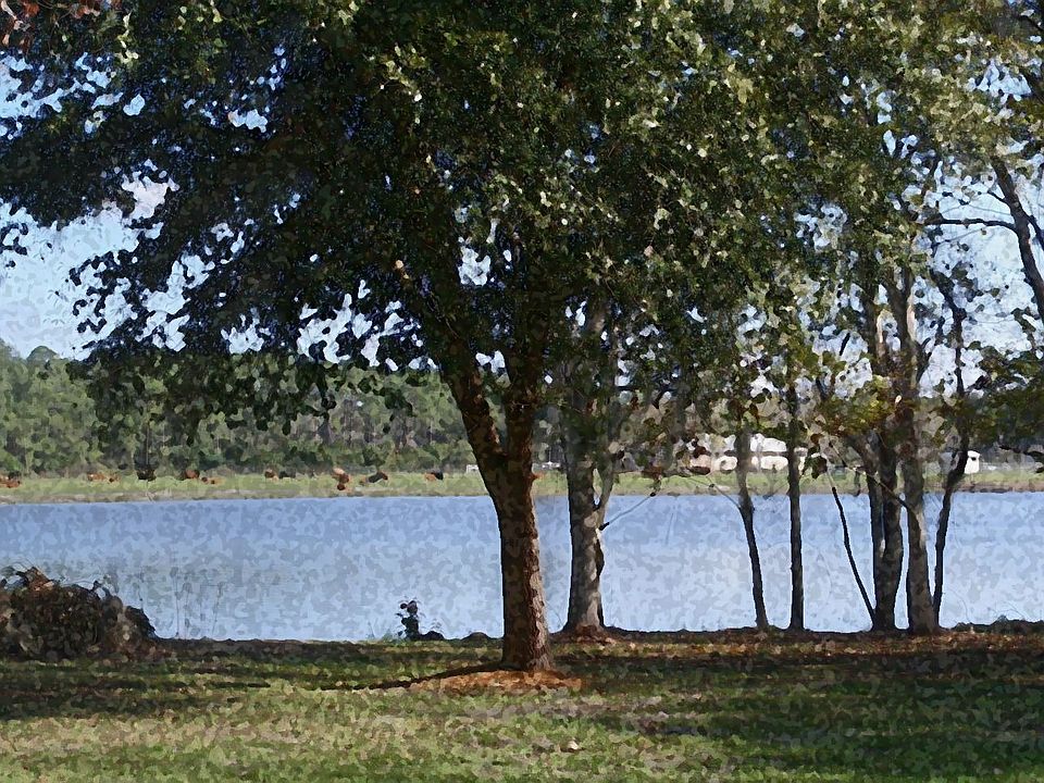 Photo turned into WaterColor