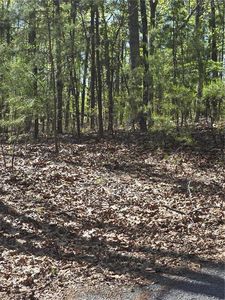 1354 Hunter Dr #1354, Ranger, GA, 30734