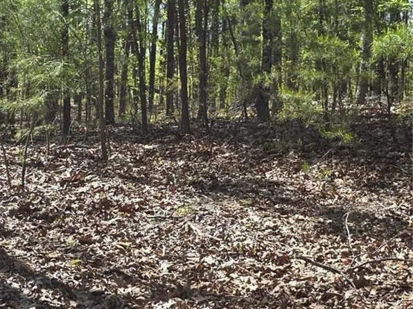 1354 Hunter Dr #1354, Ranger, GA 30734