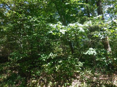 LOT 68 Sandy Point Ln, Sevierville, TN, 37876