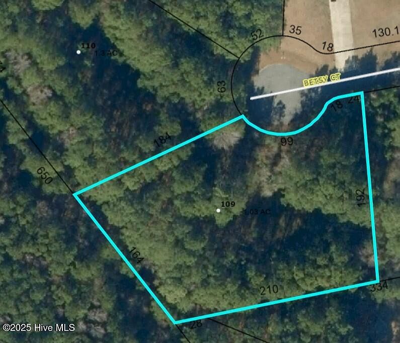 1st image of 109 Betsy Ct Lot 7