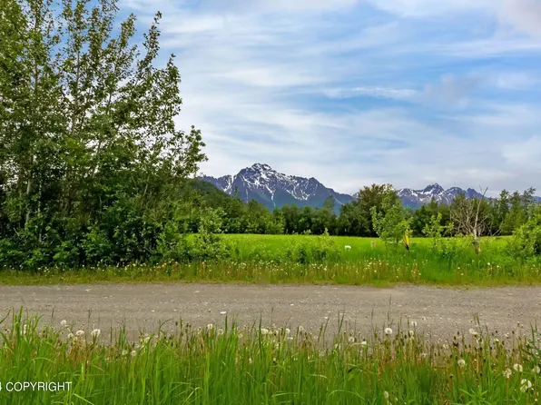 15191 E Nina Rd, Palmer, AK 99645