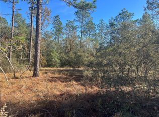 SW Admiral Landing Dr LOT 38, Dunnellon, FL 34431