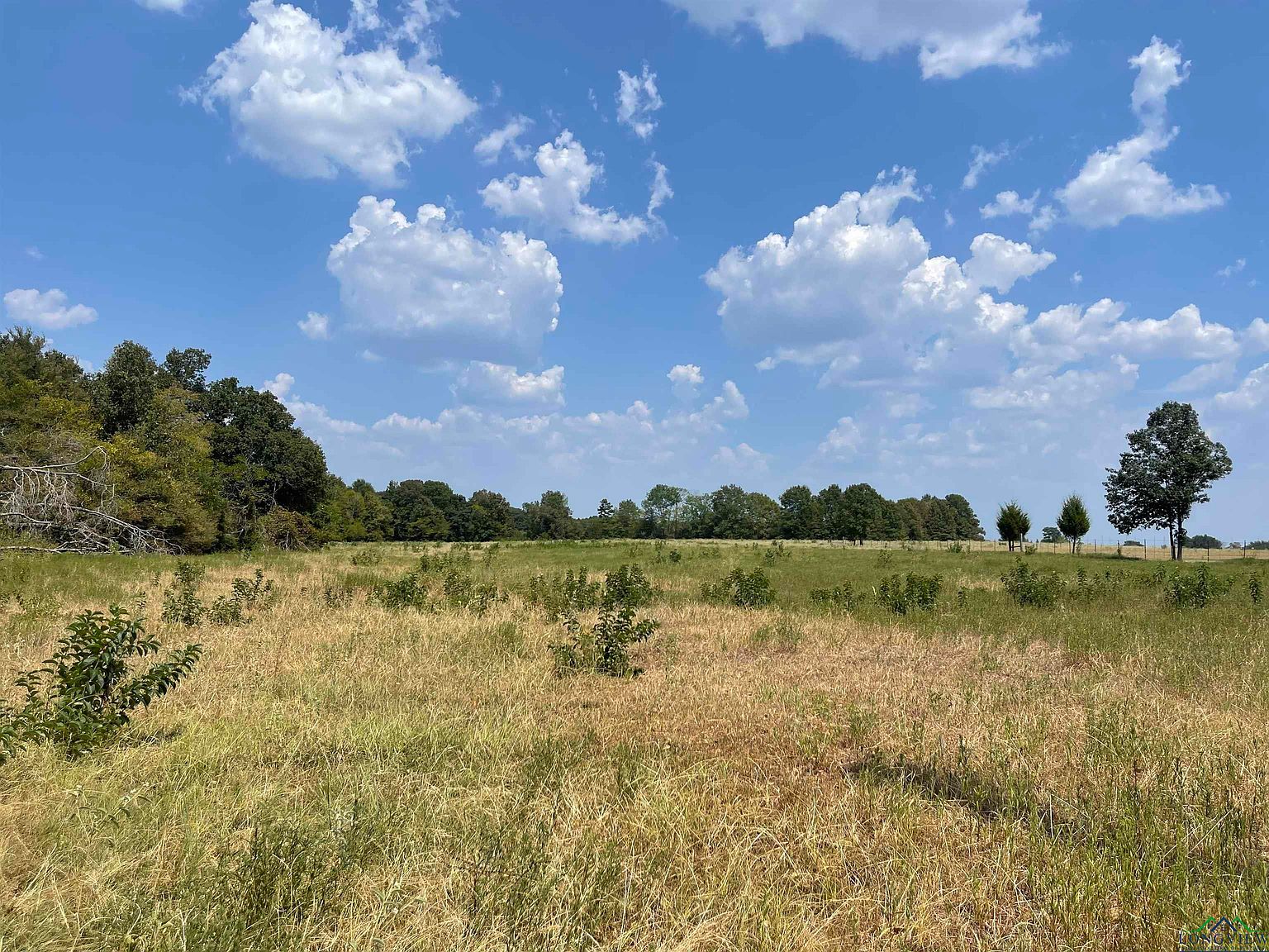 Fm 248, Beckville, TX 75631 MLS 20235349 Zillow