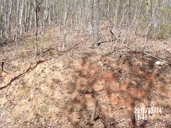 3 Strawberry Fld, Hayesville, NC 28904