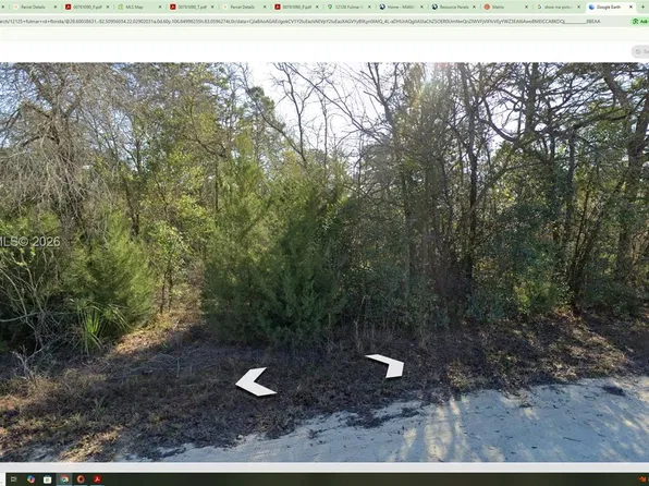 0 Fulmar Rd, Brooksville, FL 34614