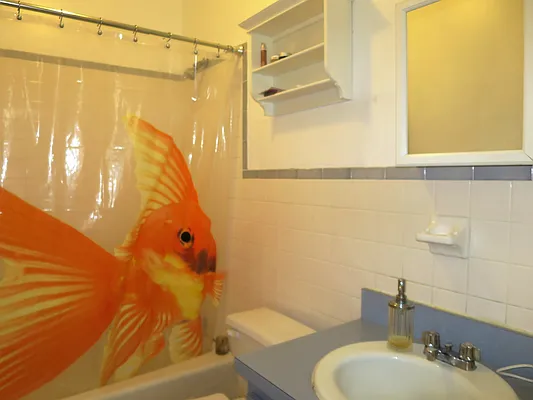 Rented by Brooklyn Properties | media 8