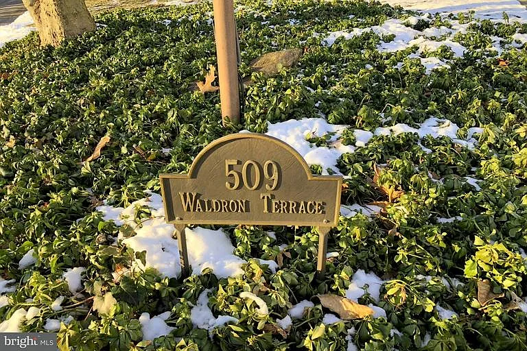 509 Waldron Ter photo 1