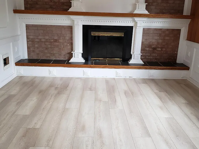 Family Room (downstairs)