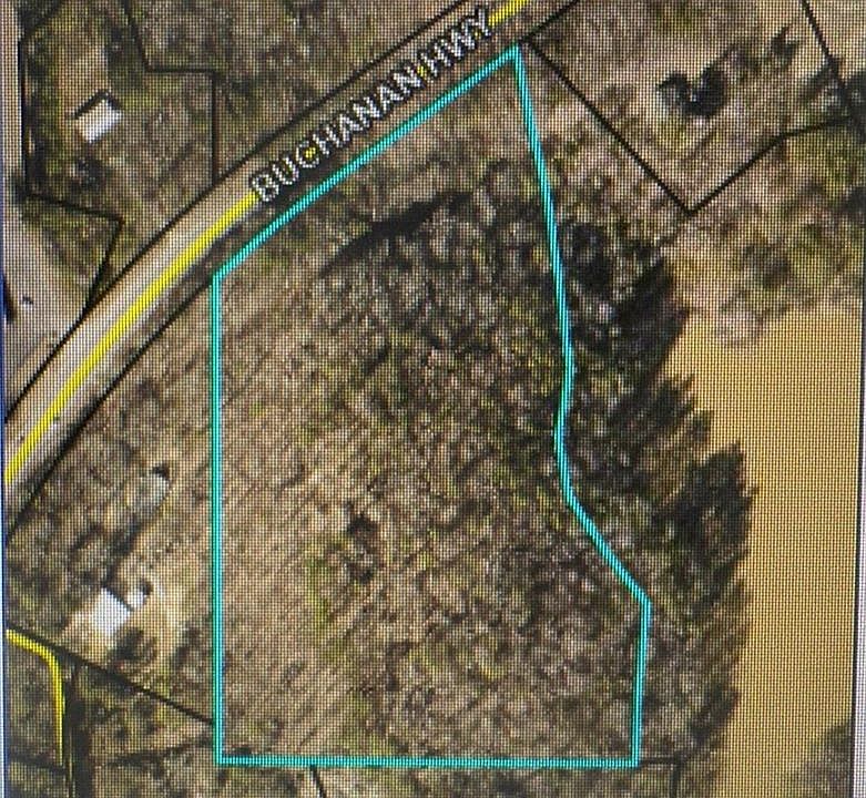 1st image of 0 Buchanan Hwy #572