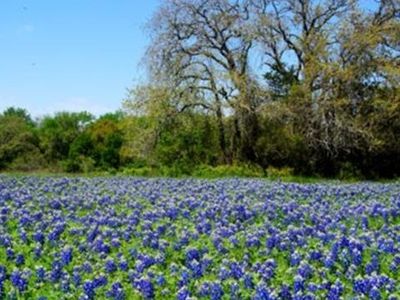 1525 Rocky Creek Rd, La Grange, TX, 78945