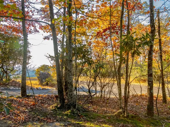 41 Moonlight Ln, Fancy Gap, VA 24328