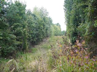 0 Manson Church Rd LOT 80-9, Mc Kenney, VA 23872