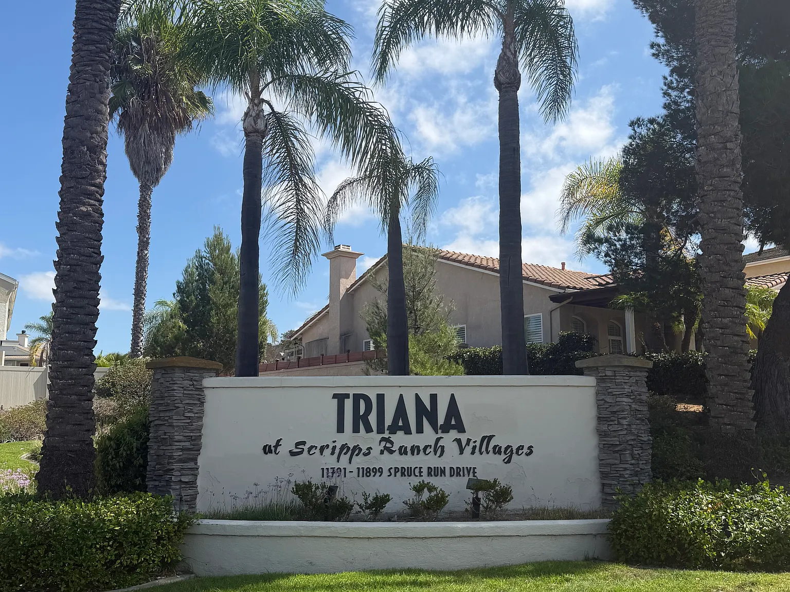 2 bed, 974 sqft, $3,100 — Photo 2