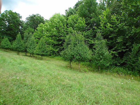 2nd image of 43 Porter Creek Dr