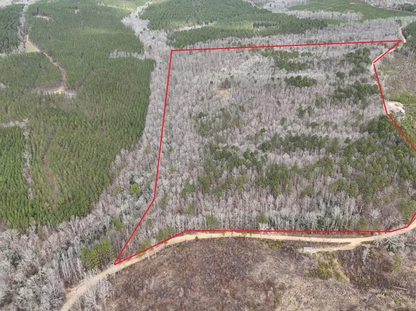 County Road 325, Hamilton, AL 35570