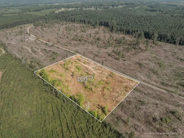 7 Lucas Hollow Rd, Mount Olive, MS 39119
