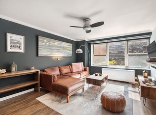 305 E 24th St APT 3S, Manhattan, NY