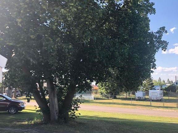 667630FE-35A3-43E0-8D8F-EB72D12E3FD8