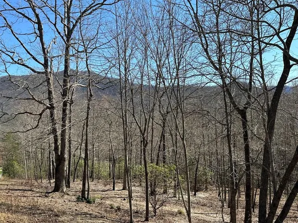 LOT 11 Asheland Cove Dr, Young Harris, GA 30582