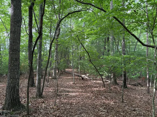 0 Walker Dr, Morganton, GA 30560